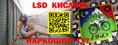 стафф Бийск