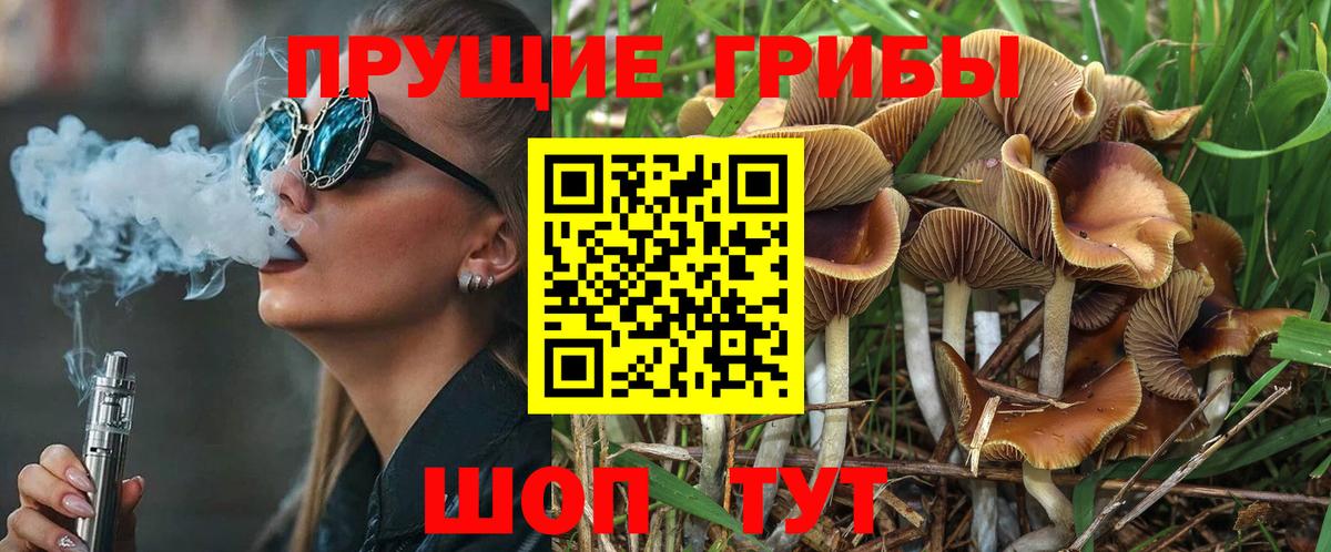 Галлюциногенные грибы MAGIC MUSHROOMS Калининград