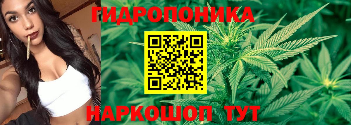 Калининград  Каннабис SATIVA & INDICA  Канабис сатива  Вход с VPN  Марихуана семена 